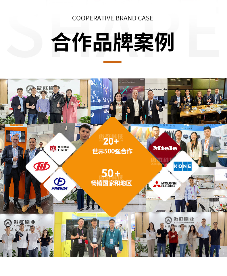 牛體清潔刷12